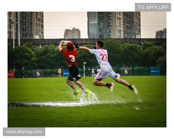 聚焦飞盘运动北京飞盘队如何提升耐力与团队协作能力