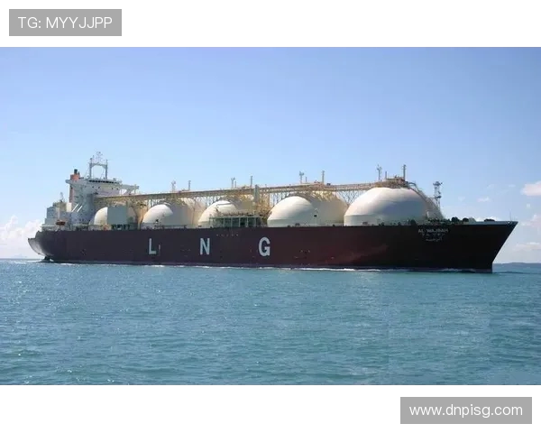 冠军杯特别报道：LNG逆袭之路的辉煌与挑战全景回顾