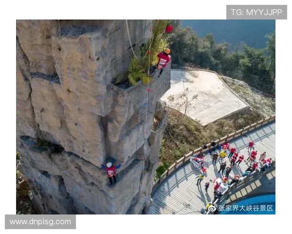 广州极限运动队如何通过灵活性变革引领极限运动热潮与发展趋势