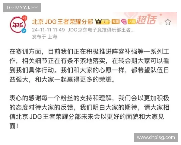 王者荣耀深度解析：全面剖析JDG战队的运营策略与成功之道